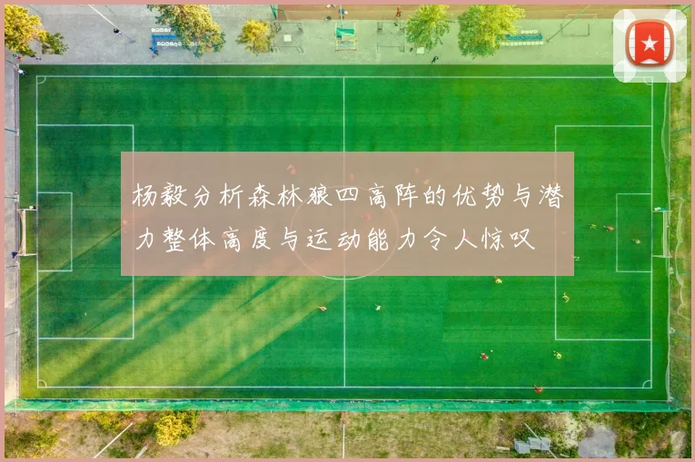 杨毅分析森林狼四高阵的优势与潜力整体高度与运动能力令人惊叹